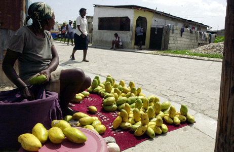 mangos for sale in Haiti