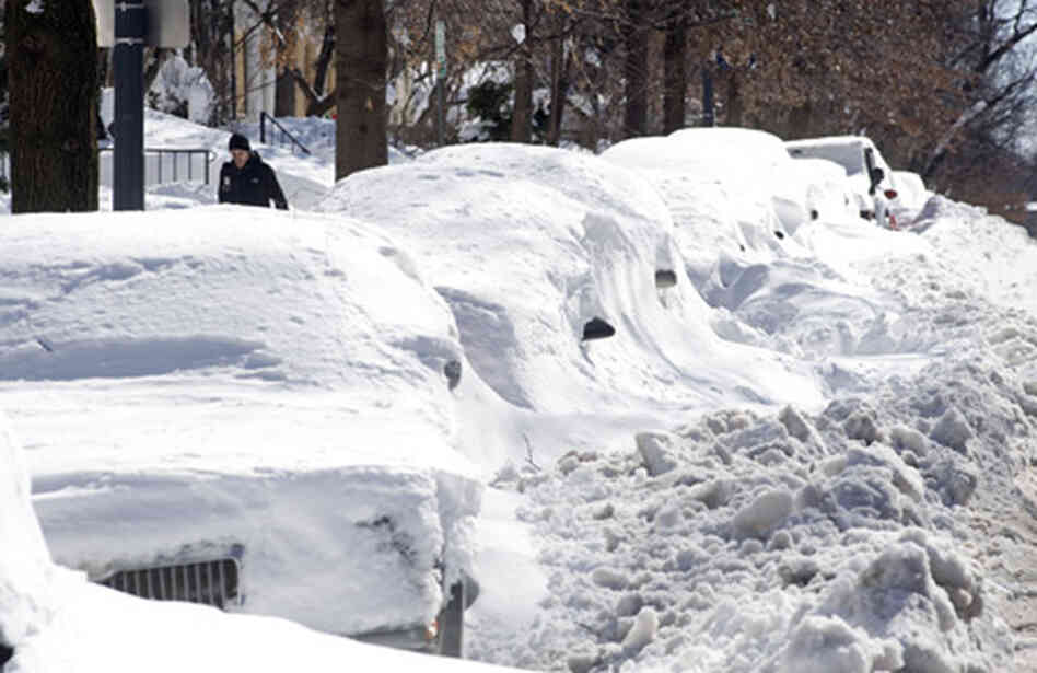 blizzard blizzard