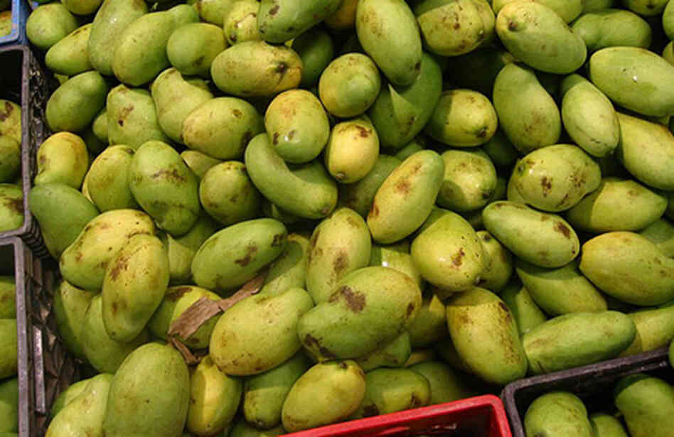 Mangoes Mangoes