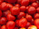 tomatoes tomatoes