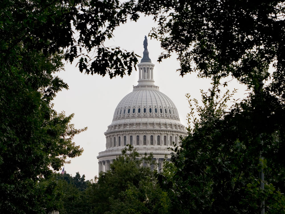 Capitol dome.