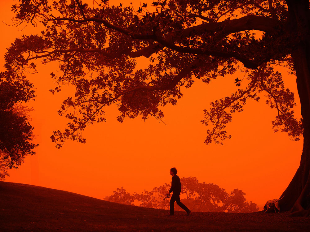 A man walks his dog through Observatory Hill near Sydney on September 23, 2009 as Australia's biggest city is shrouded in an eerie blanket of red dust. Sydney's cars and buildings turned orange as strong winds blew desert dust across the city, snarling commuter and air transport and prompting a warning for children and the elderly to stay indoors. (Greg  Wood/AFP/Getty Images)
