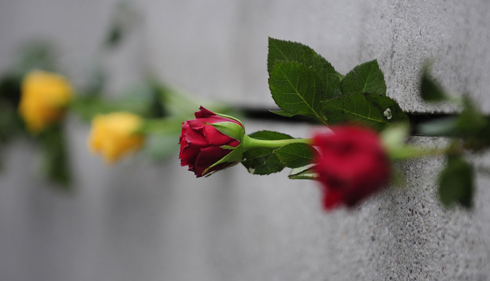 Flowers stick out of a crack in the back wall (east side, looking west) of a preserved segment of the Berlin wall during a commemorative event to mark the 20th anniversary of the fall of the wall in Berlin November 9, 2009. (John MacDougall/AFP/Getty Images)