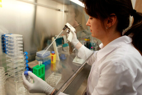 Human stem-cell researcher.