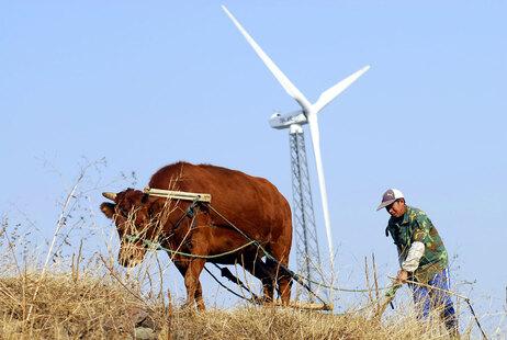 A Chinese wind turbine and a farmer plowing in the ancient method.