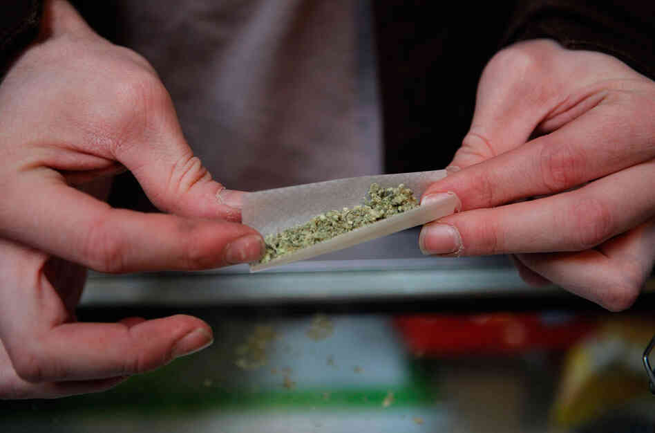 Marijuana growers and others in Humboldt County, California where the illegal drug is grown in large