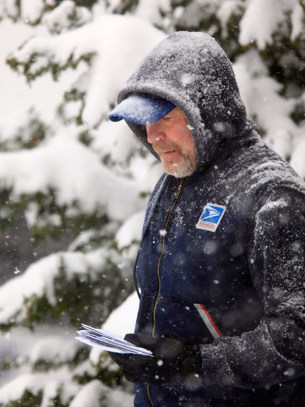 U. S.Post Office letter carrier Tim Bell delivers the mail during a snow storm in Havertown, Pa. Sat