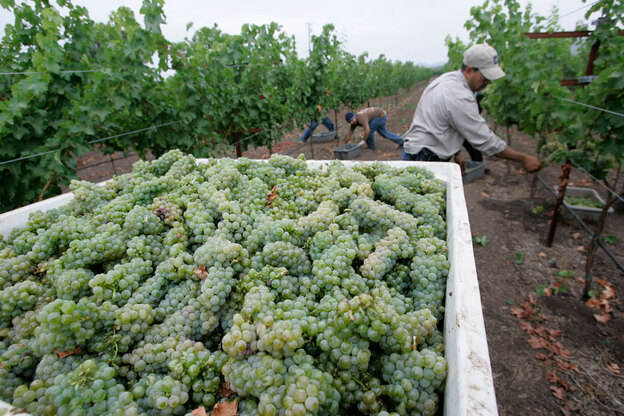 Some of Napa Valley's vineyards are being driven to foreclosure by falling land values and consumers