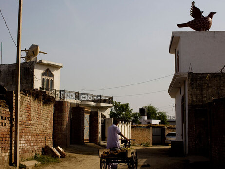 Wealthy Punjabis adorned the roofs of their homes with statues as a sign of prosperity. Atop the buildin on the left is a statue of a plane. On the building to the right, a winged bird.