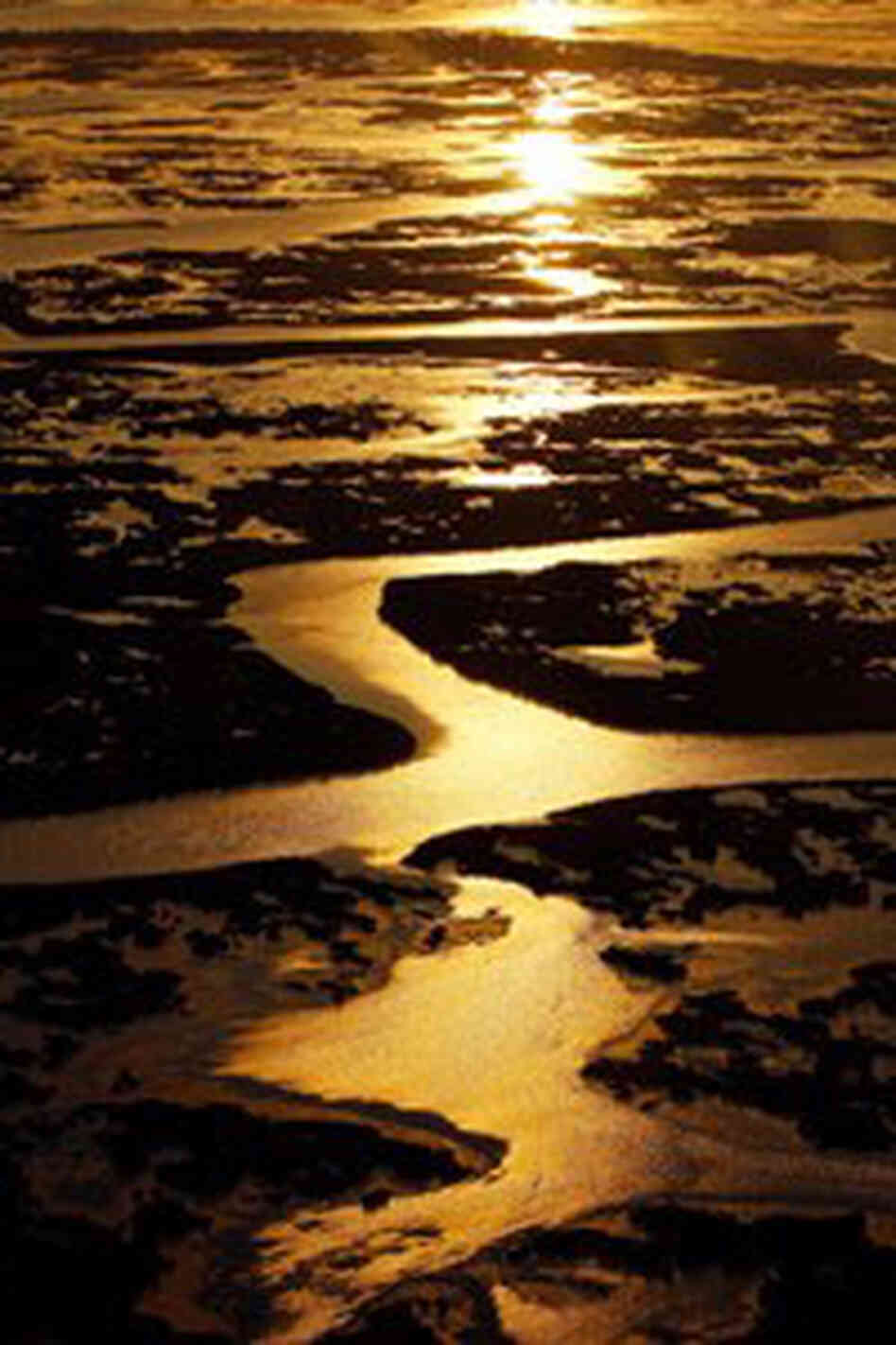 The sun sets on grassy marsh wetlands of St. Bernard Parish near the Gulf of Mexico on April 28, 201 The sun sets on grassy marsh wetlands of St. Bernard Parish near the Gulf of Mexico on April 28, 201