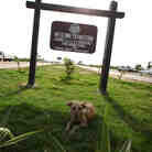 A stray dog sits in the shade of a sign that welcomes visitors on the Pakistani side of the Wagah bo A stray dog sits in the shade of a sign that welcomes visitors on the Pakistani side of the Wagah bo