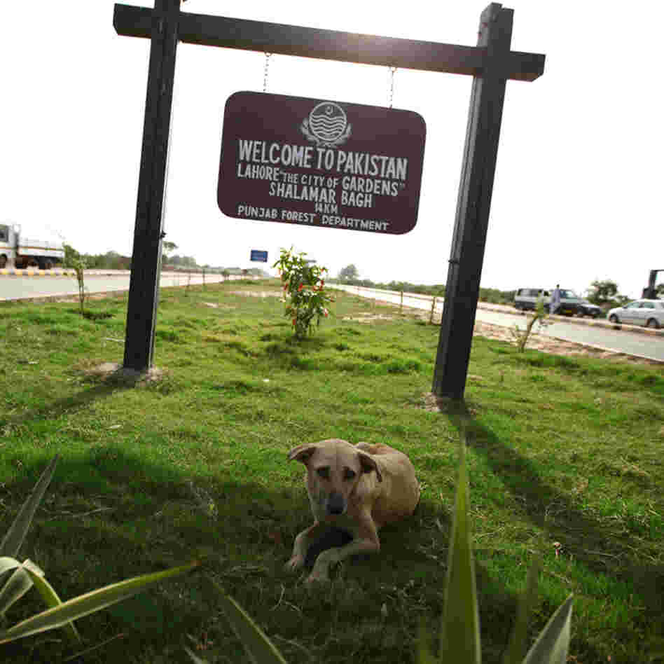 A stray dog sits in the shade of a sign that welcomes visitors on the Pakistani side of the Wagah bo