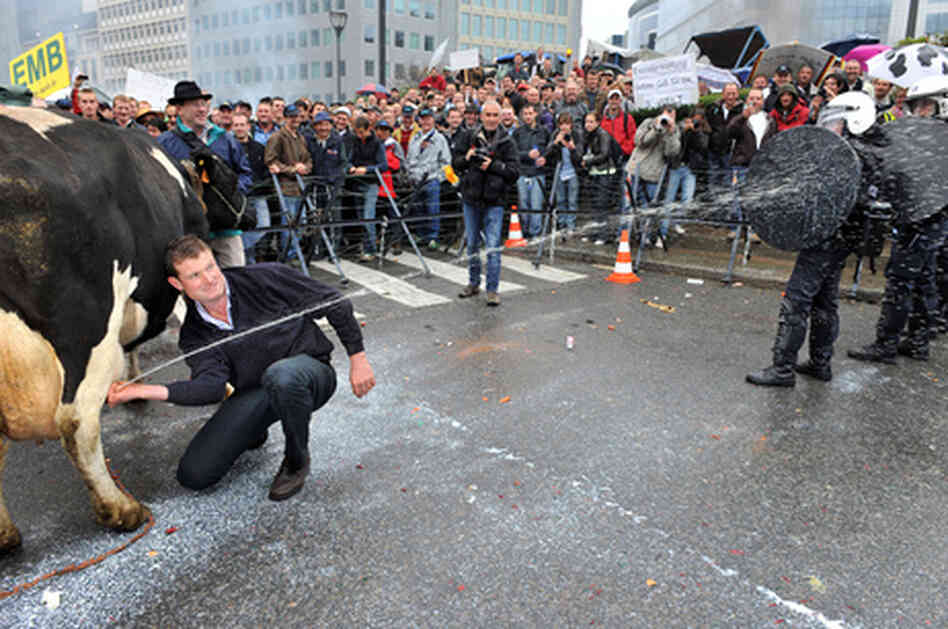 French protester shoots policemen with milk directly from cow's udder. French protester shoots policemen with milk directly from cow's udder.
