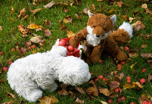 Photo of two toy animals reaching into basket of apples.
