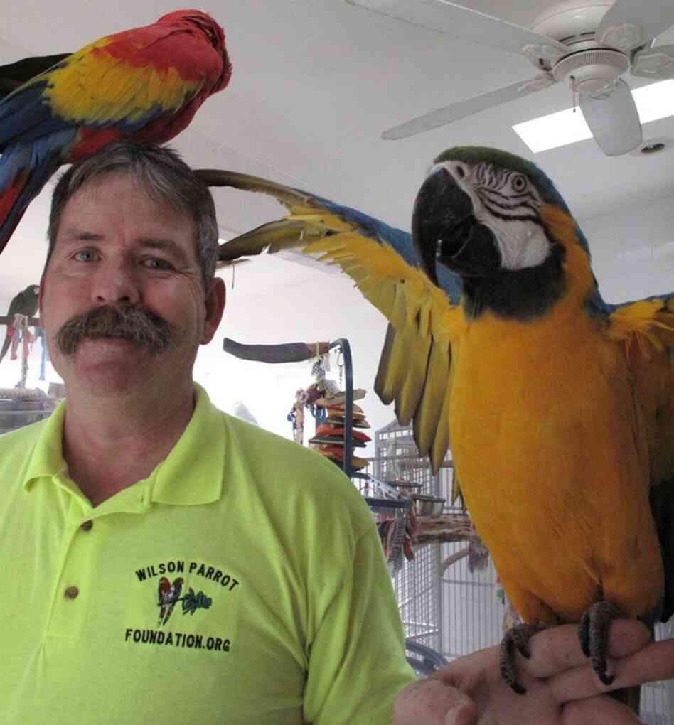 Brian Wilson, President of The Wilson Parrot Foundation, and friends.