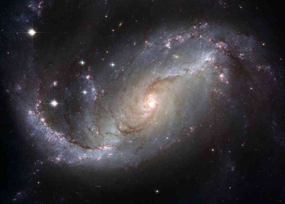This is Hubble's view of the "nearby" barred spiral galaxy, NGC 1672.  Visible are dark filamentary dust lanes, young clusters of bright blue stars, red emission nebulas of glowing hydrogen gas, a long bright bar of stars across the center, and a bright active nucleus that likely houses a supermassive black hole. Light takes about 60 million years to reach us from NGC 1672.