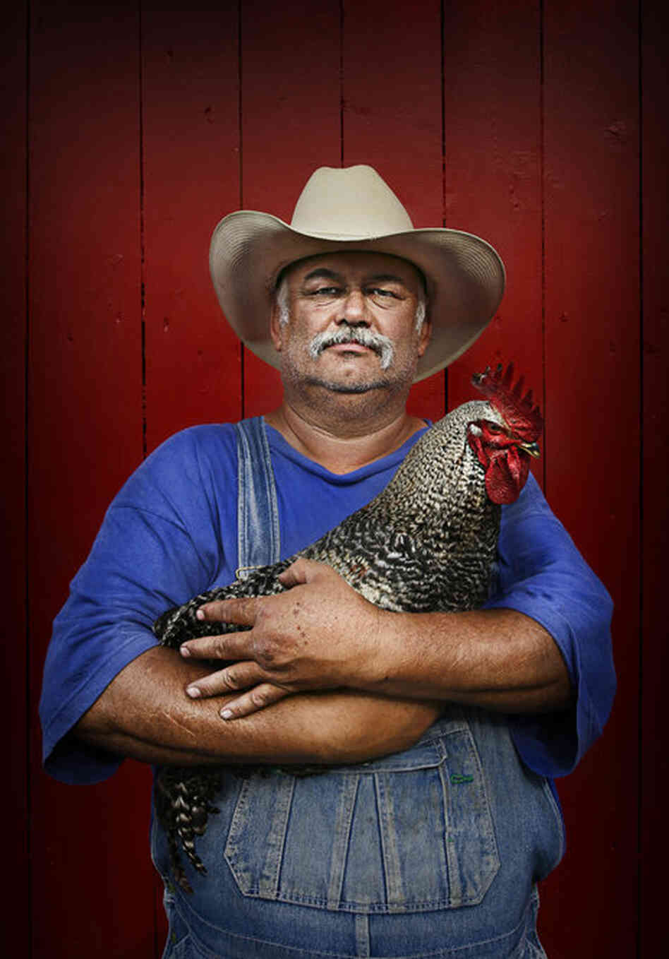 Dave Harris, cattle rancher in Crane, Mont., farms "for the peace of mind and the satisfaction and what God gives you back from the earth — the serenity... and the lack of conflict."