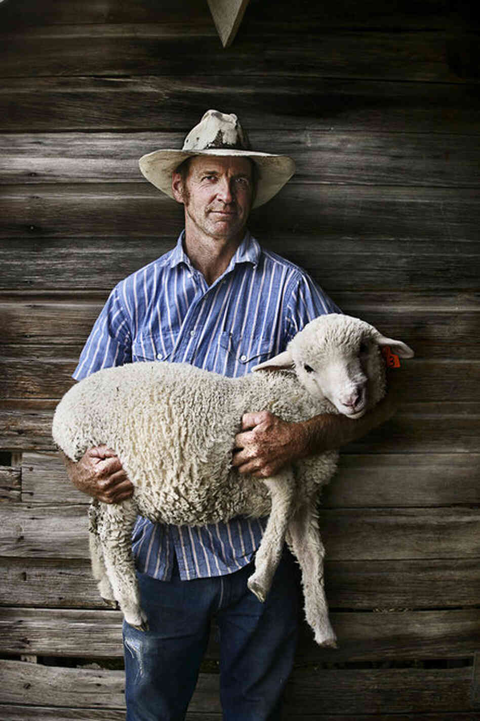 "I've been ranching since day one," says Chuck Dallas, a sheep farmer in Wilsall, Mont. "The way I was raised, as soon as you were able to do something on the farm, you did it." He adds: "Raising sheep keeps you young. Sheep guys live longer than cow guys."