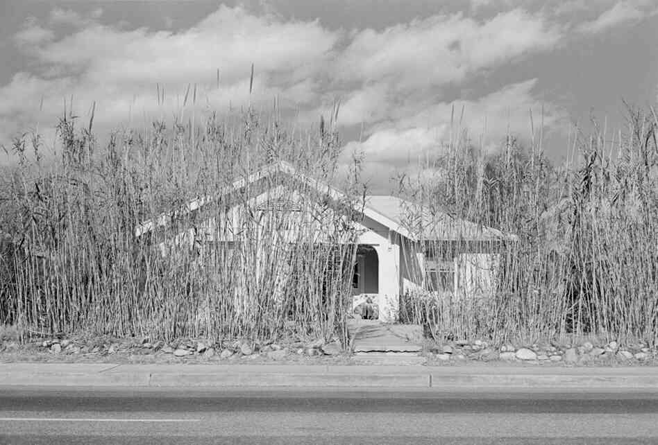 Tucson, Ariz., 1974, Henry Wessel Jr.