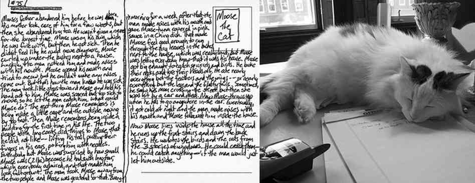 Moose the Cat, No. 75. An excerpt: "Moose's father abandoned him before he was born. His mother took care of him for a few weeks, but then she abandoned him too. He wasn't given a name for the longest time. Moose was on his own, which he was fine with, but then he got sick. Then he didn't feel like he could move anymore. Moose curled up under the bushes next to a house. Luckily, the man noticed...