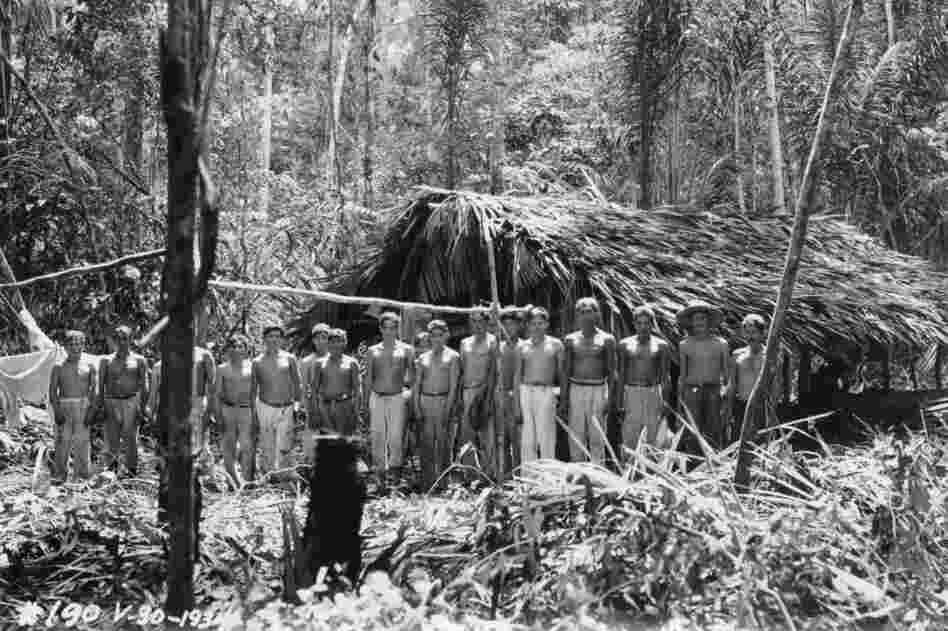 Many of the plantation workers were to the jungle and were moved into American style housing. 