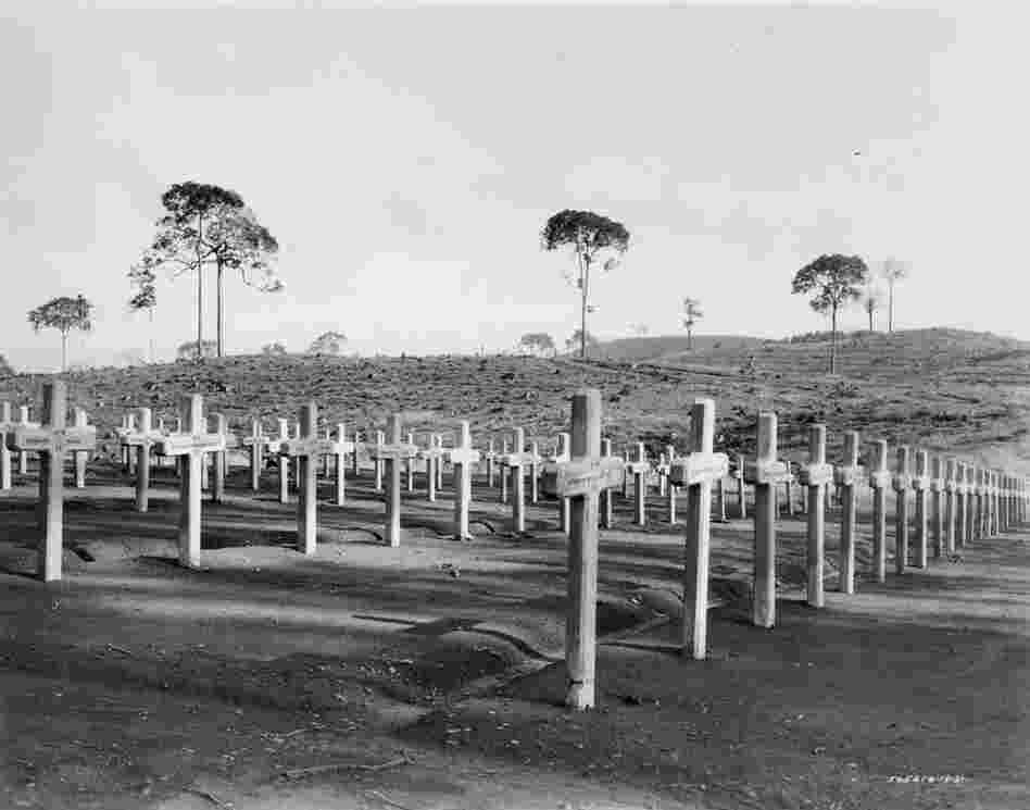 Malaria, yellow fever and viper bites claimed the lives of many workers. 