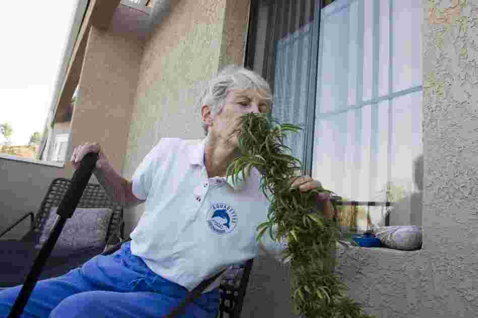 Margo Bouer, an advocate for medical marijuana, sniffs a plant she's grown on the deck of her home in Laguna Woods, Calif. 
