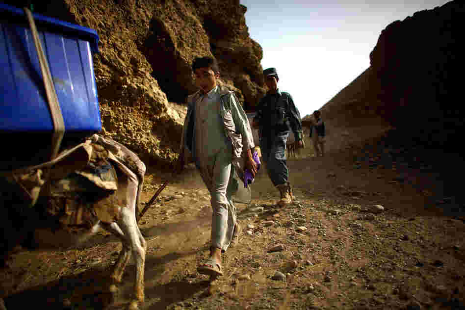 More than 800 donkeys will be used by the United Nations and the election commission to deliver voting materials to remote villages.