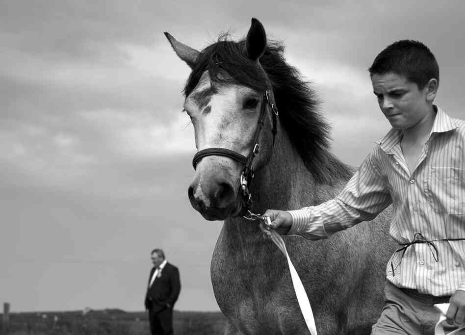 "Connemara Pony Show Judging, Ireland, 2007," Josef Tornick, Santa Fe, United States, honorable mention