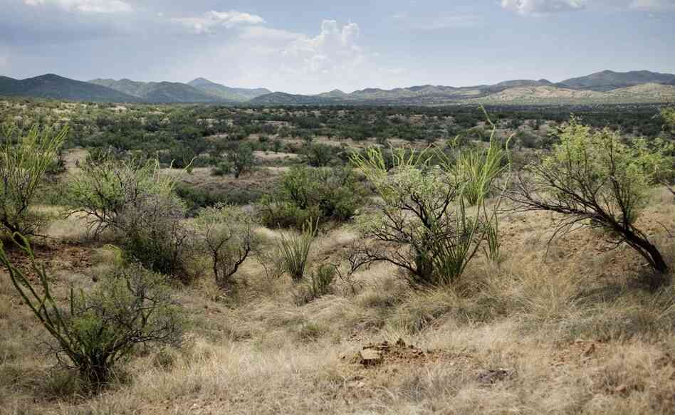 Despite an overall drop in the number of people crossing the border illegally, the number of deaths in the desert remains constant — averaging about 200 per year. As easy border crossings become harder to find, more migrants are forced into the harsh environs of the Arizona desert.