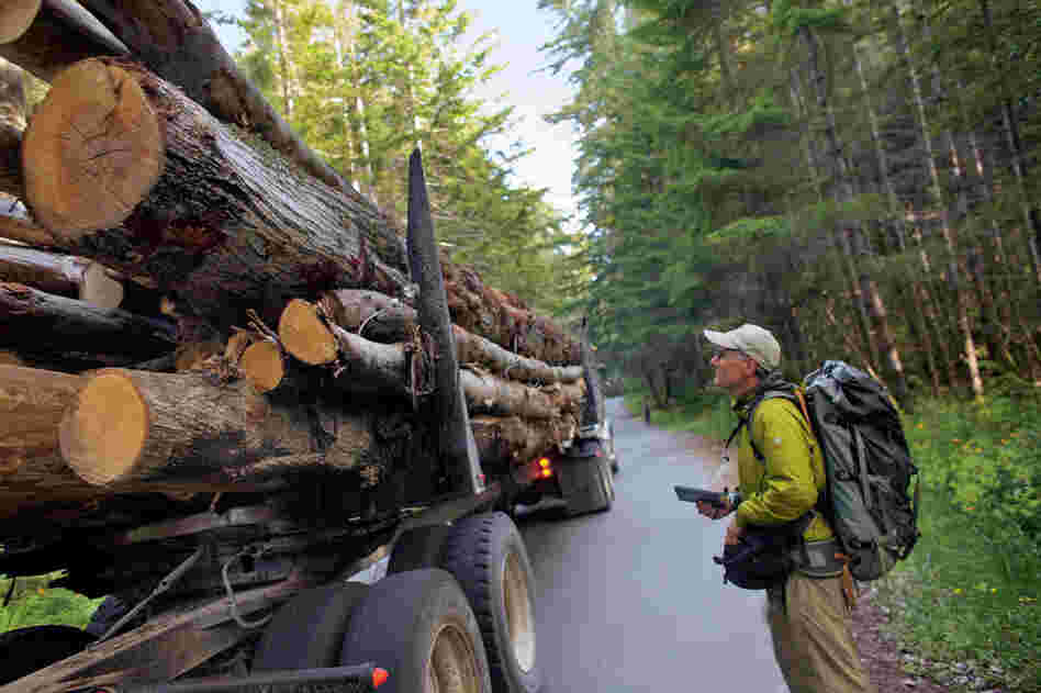 Mike Fay is an explorer-in-residence for National Geographic. He recently spent more than a year hiking the entire length of the redwood forest, from the southernmost redwood in Big Sur to the northernmost tree near Oregon's Chetco River. Focusing his research on forest management, he notes the size of a truckload of logs. 