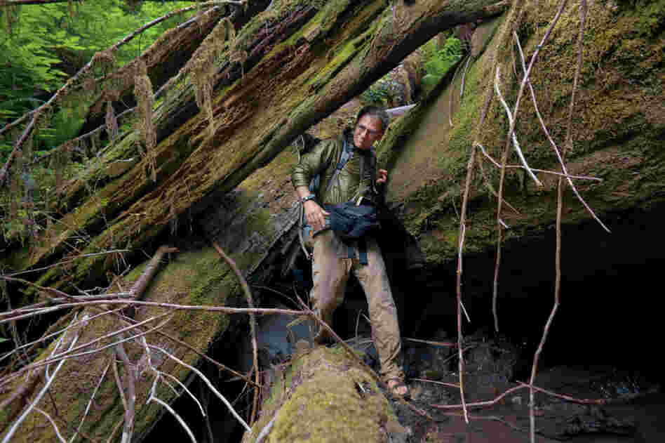 Fay emerges from a hike down Little Lost Man Creek in Redwood National Park. He and his hiking partner, Lindsey Holm, finished the first comprehensive transect of the redwood range, covering 1,800 miles of Pacific coastal forest, in 2008. 