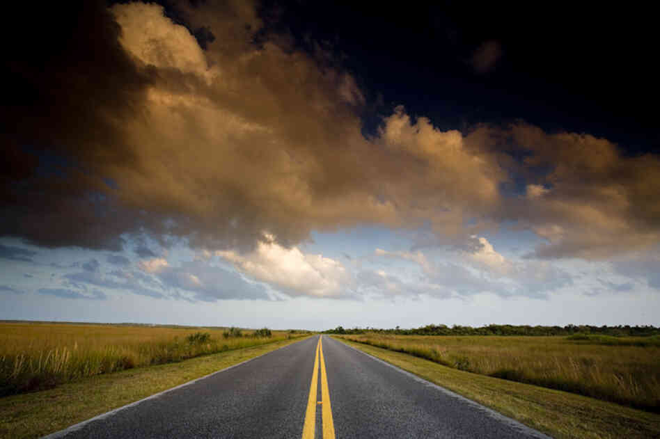 Road through tall grass prairie, Everglades National Park, Fla.