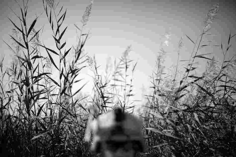 A Marine clears a path through tall grass near a canal.