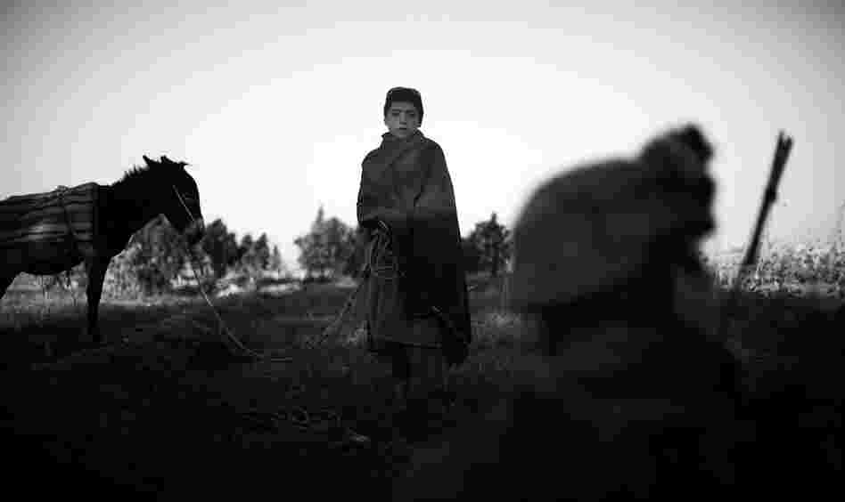 A young Afghan watches as the Marines talk to his father.