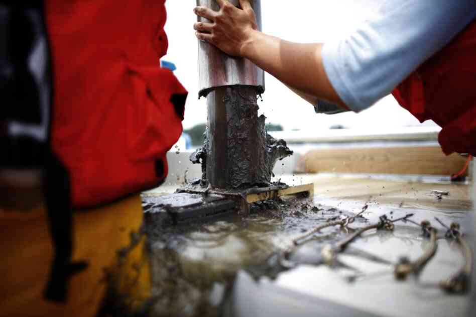 Technicians spend all day collecting sediment samples that are essentially "biopsies" of the bay's bottom.