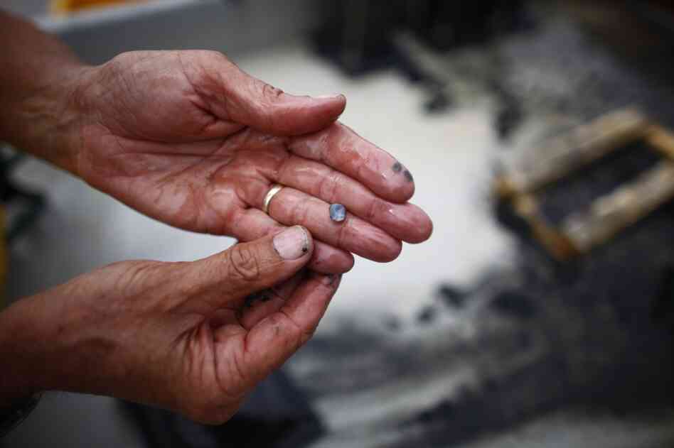 Dead sediments contain few, if any, living things. These samples taken along the Wye River are relatively healthy. They harbor everything from bacteria to small mollusks — and sometimes even a fish or two.