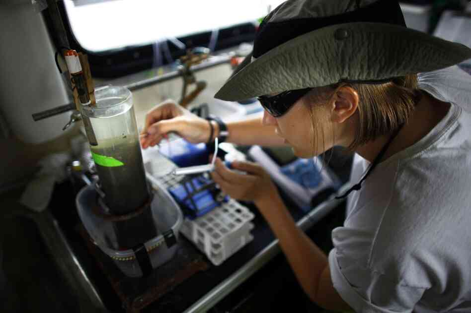 Technicians and students aboard the Rachel Carson work in a small chemistry lab, measuring things like dissolved oxygen in the sediments and water.  Low levels of oxygen — and sometimes a complete lack of oxygen — is an increasing problem in the bay.