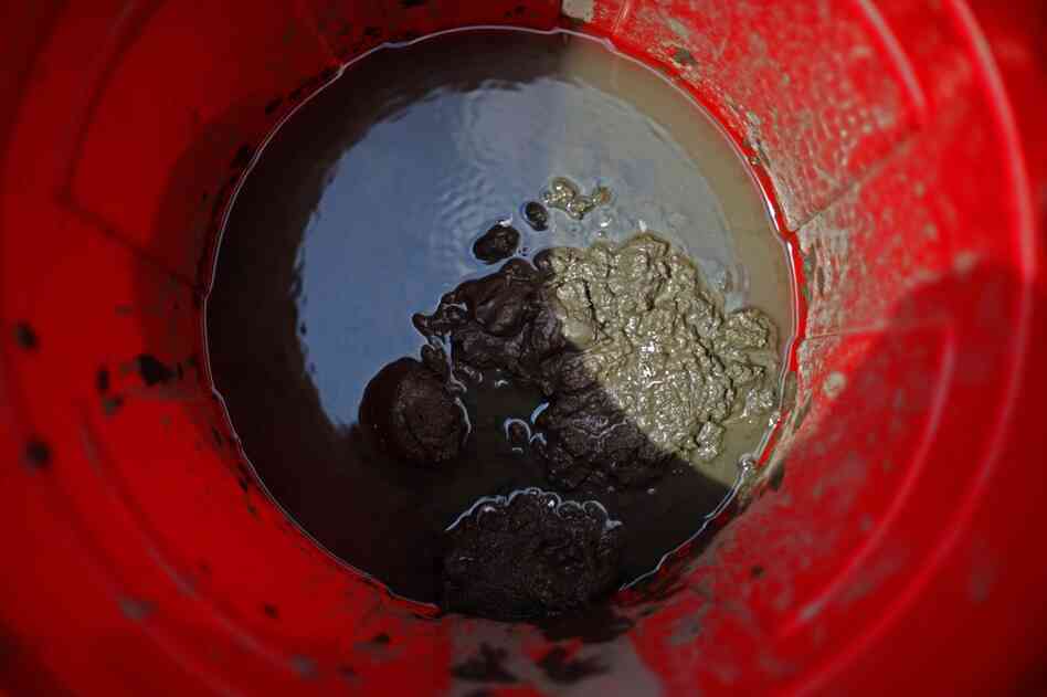 Residue from a day's work lies at the bottom of a collection tube. It may not look very exciting, but knowing the condition of sediments from around the bay helps researchers pinpoint areas where work needs to be done to reduce harmful pollutants.