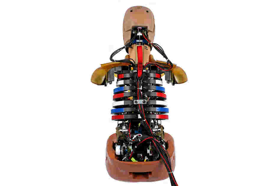 The THOR frontal-impact dummy is still under development by the National Highway Traffic Safety Administration.  THOR will provide much improved biofidelic (lifelike) feedback.  Shown in this photo, sensors under the ribs measure rib deflection.  Certain configurations of THOR are capable of more than 130 channels of data transmission from various sensors. 