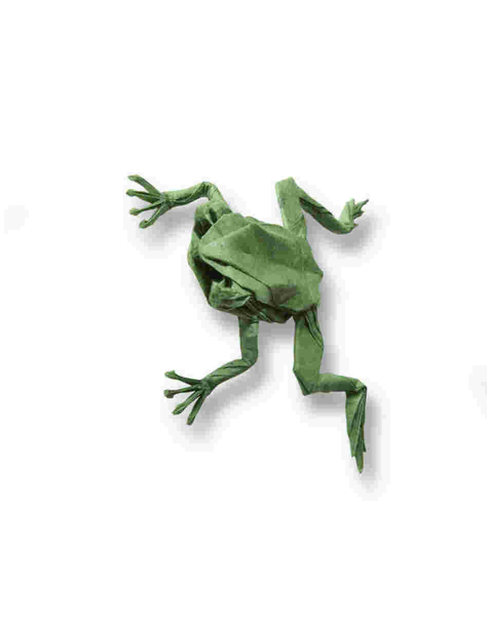 Robert J. Lang, Tree Frog, Op. 280 