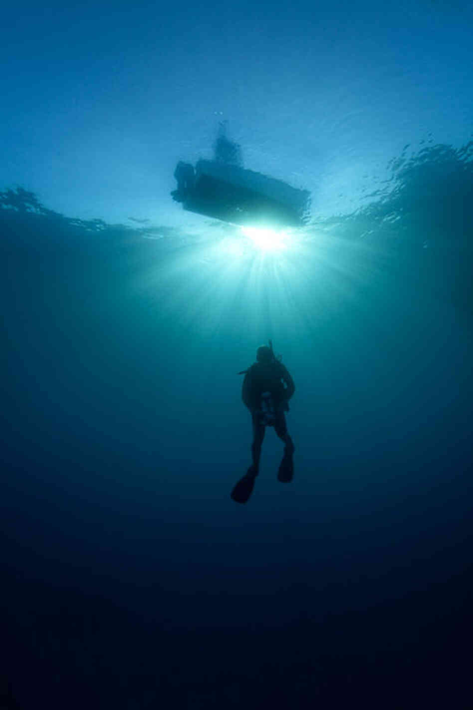 Only a few hundred divers visit the reefs each year. 