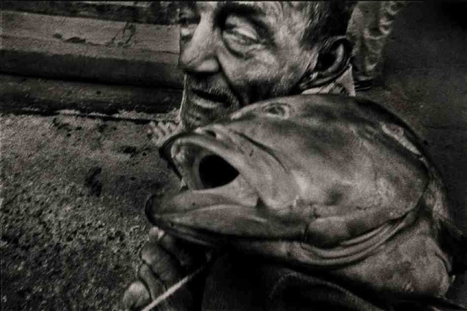 This is one of Bazan's favorite images because "you don't know who is more dead, the fisherman or the fish."