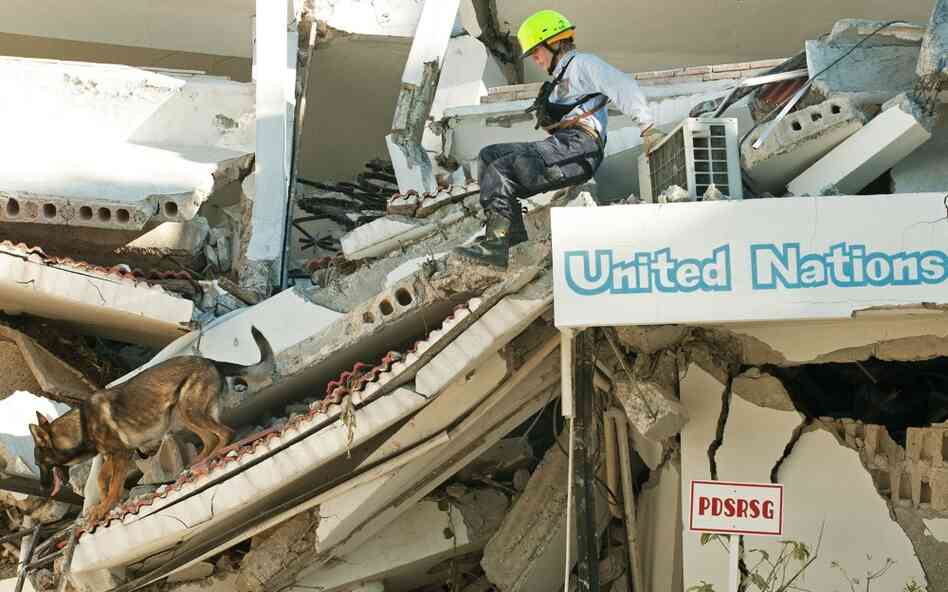 A member of the Fairfax Country Urban Search & Rescue Team and her K-9 partner search the U.N. Headquarters for more survivors after freeing a man who was trapped for 40 hours in the rubble. 