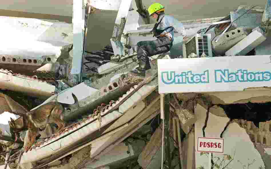 A member of the Fairfax Country Urban Search & Rescue Team and her K-9 partner search the U.N. Headquarters for more survivors after freeing a man who was trapped for 40 hours in the rubble. 