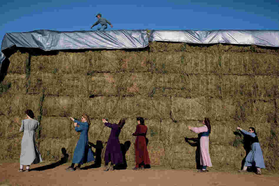 Young FLDS women tarp the hay harvest on the church's ranch in Pony Springs, Nev. "It's hard work, but I enjoy it," says Annette Jessop, 19 (at far right). Despite their conservative lifestyle, most FLDS women drive, have cell phones and are computer literate.