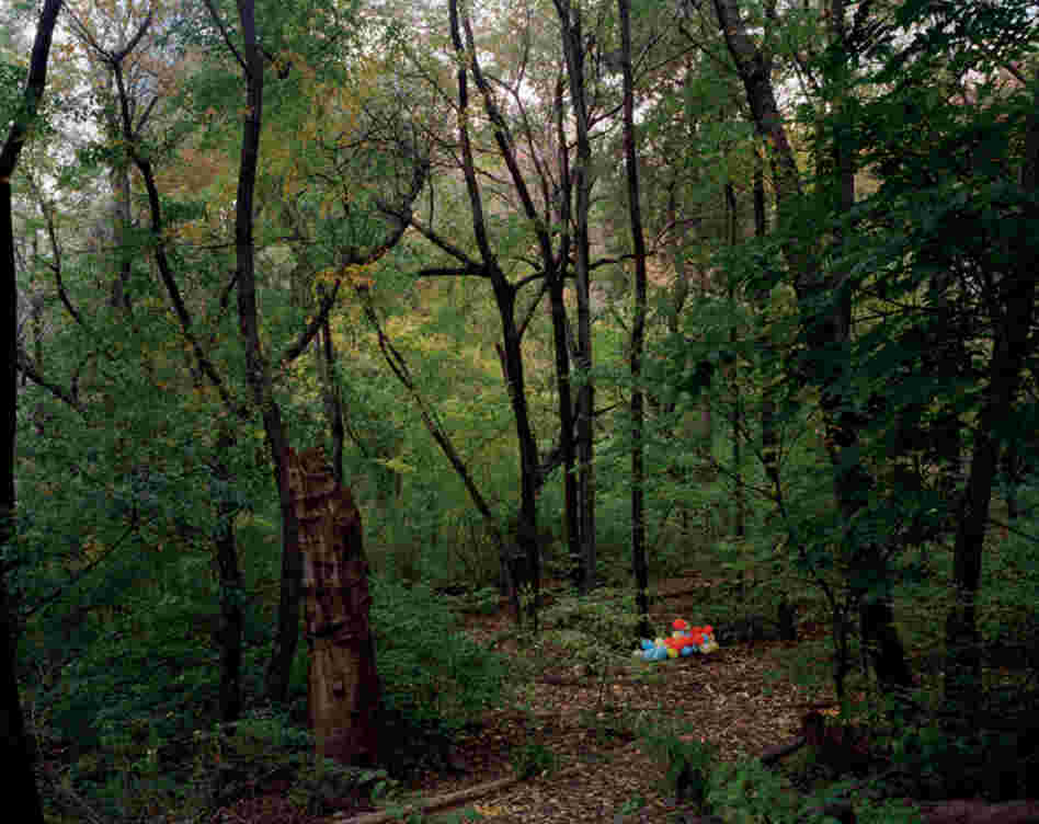 Central Park, Hallett Nature Sanctuary, autumn
