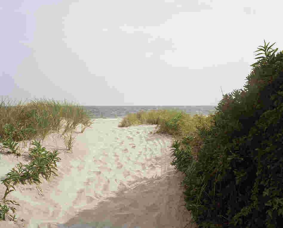 Fort Tilden, path to the water, summer