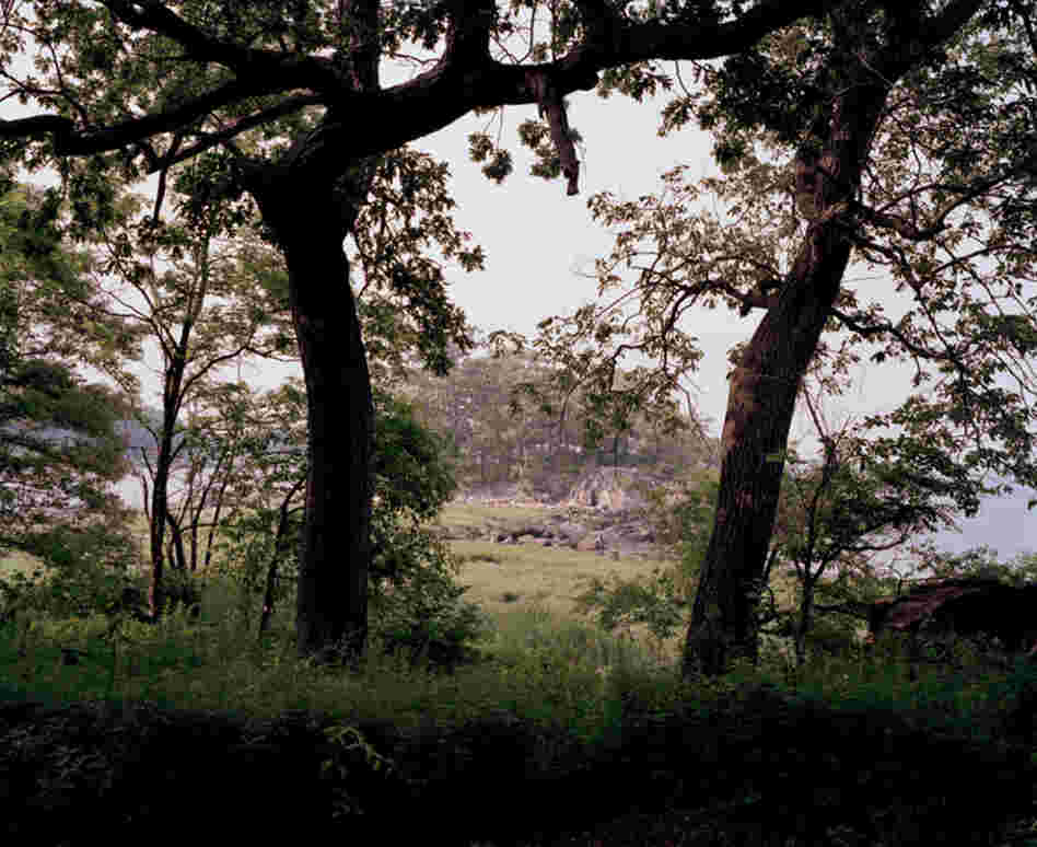 Pelham Bay Park, Twin Island, looking north, summer