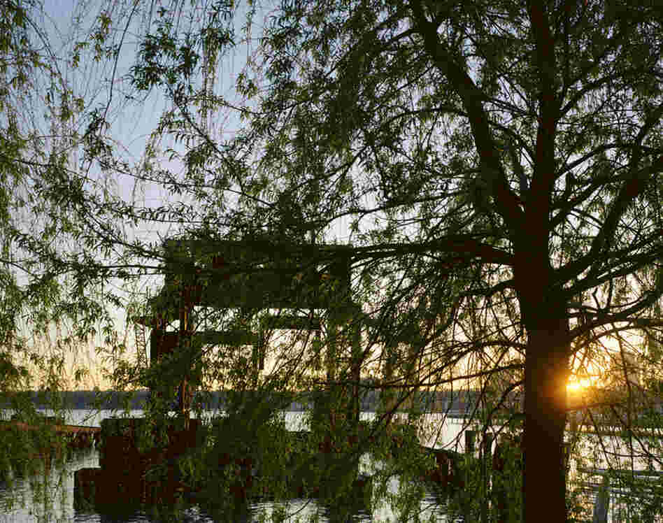Riverside Park, near 69th St., sunset at Old New York Central float bridge and gantry, spring